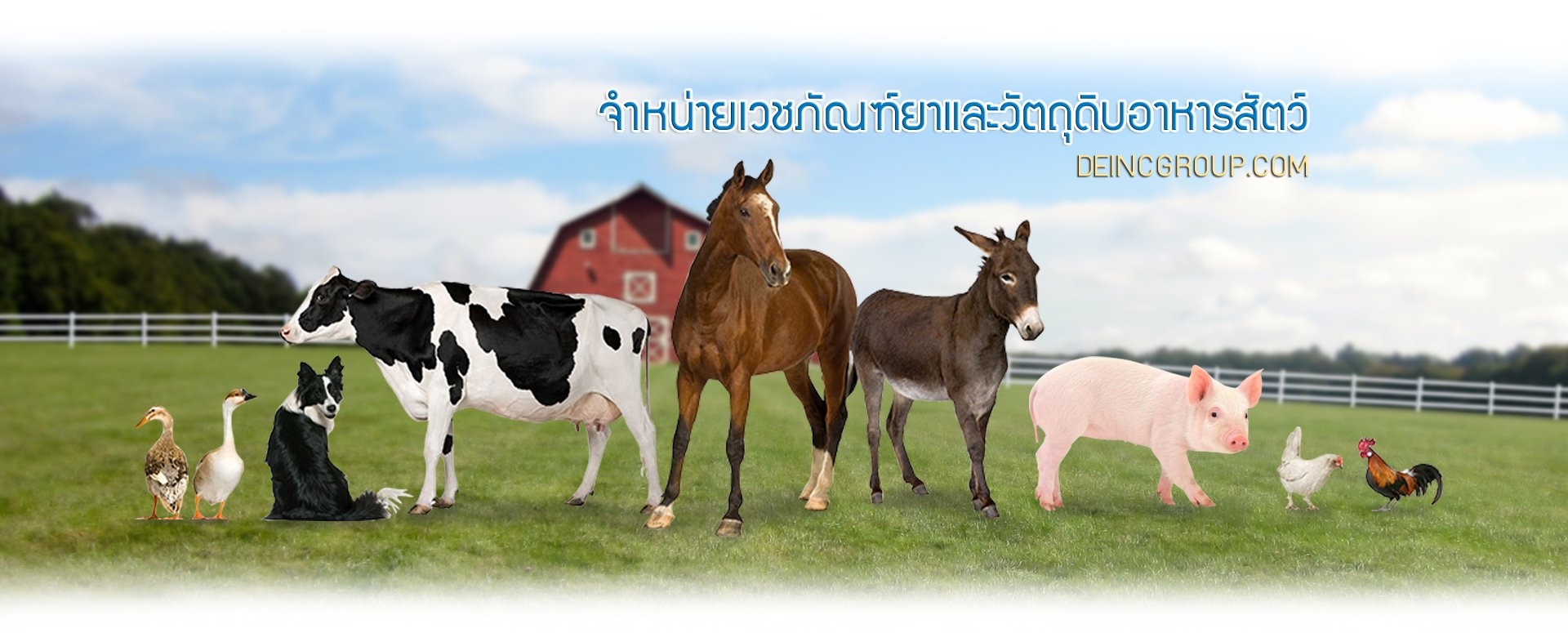 จำหน่ายเวชภัณฑ์ยาและวัตถุดิบอาหารสัตว์